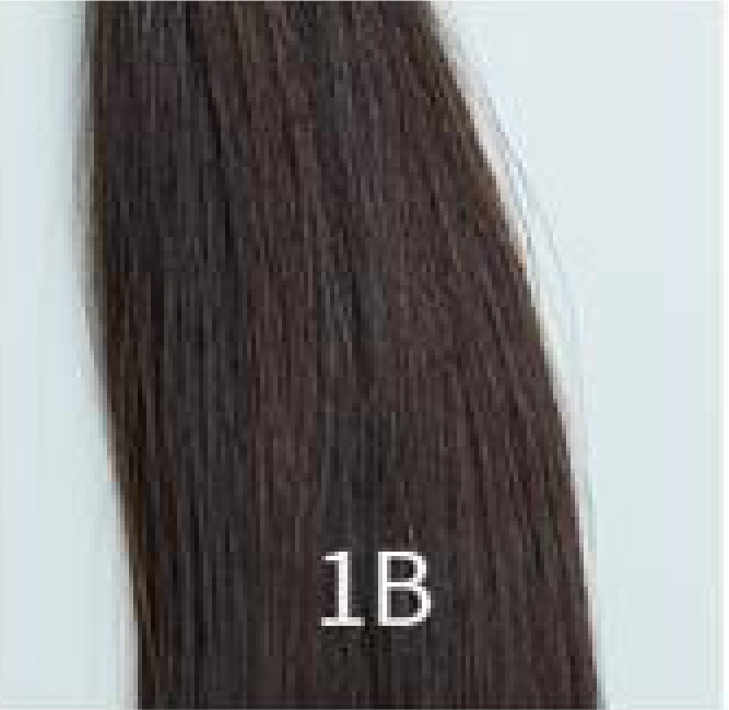 Dark Seamless Clip-in Hair